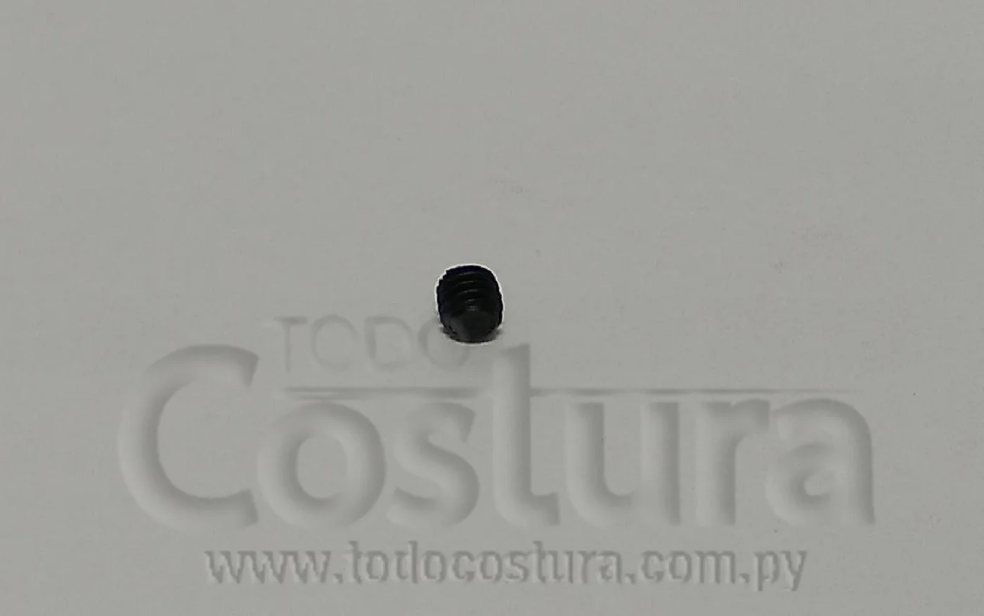 TORNILLO (SIN CABEZA) INFERIOR DE TAPA CORREDIZA FRONTAL GEM757F